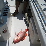 Picture 018